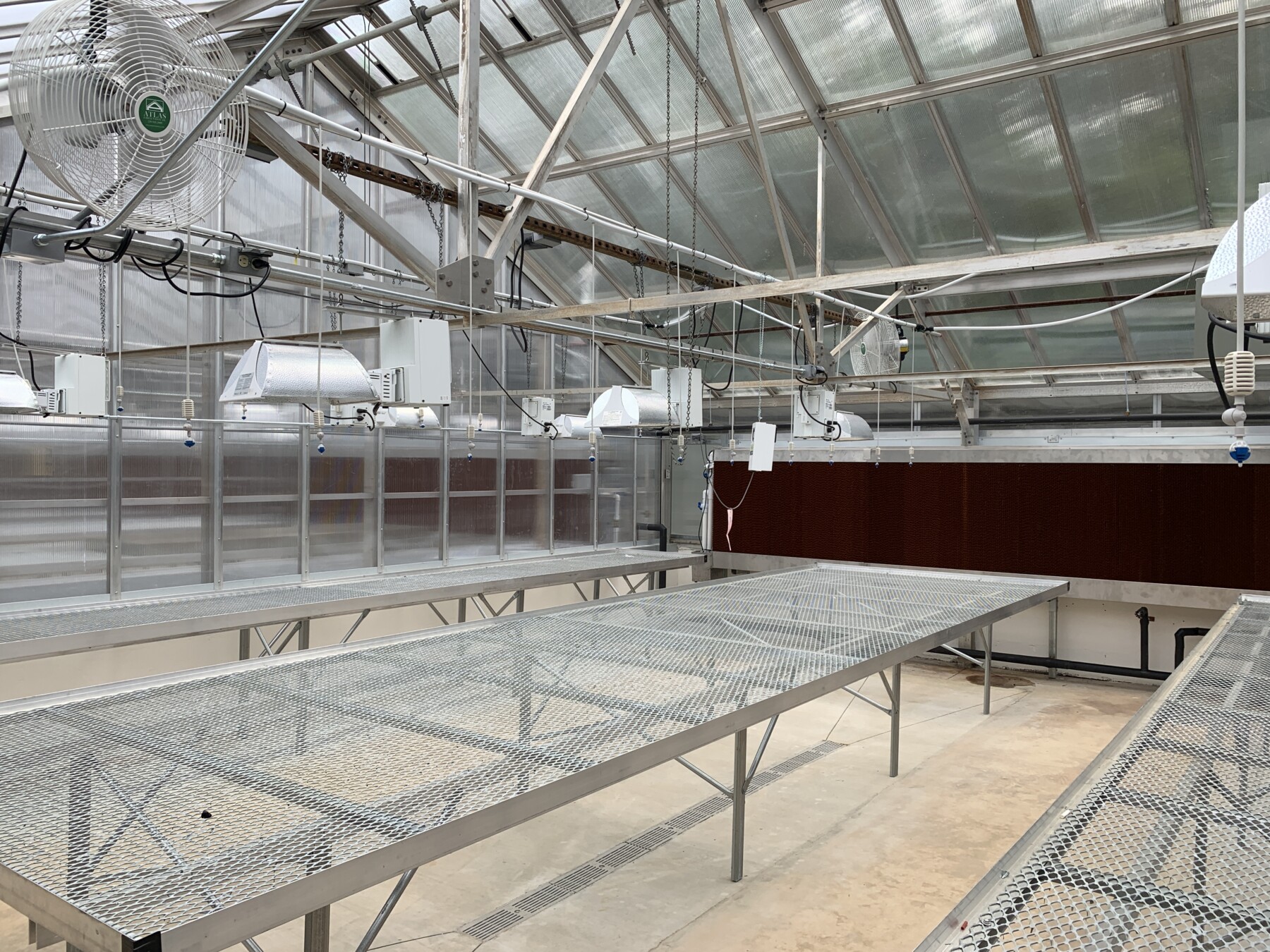 Greenhouse 11D
