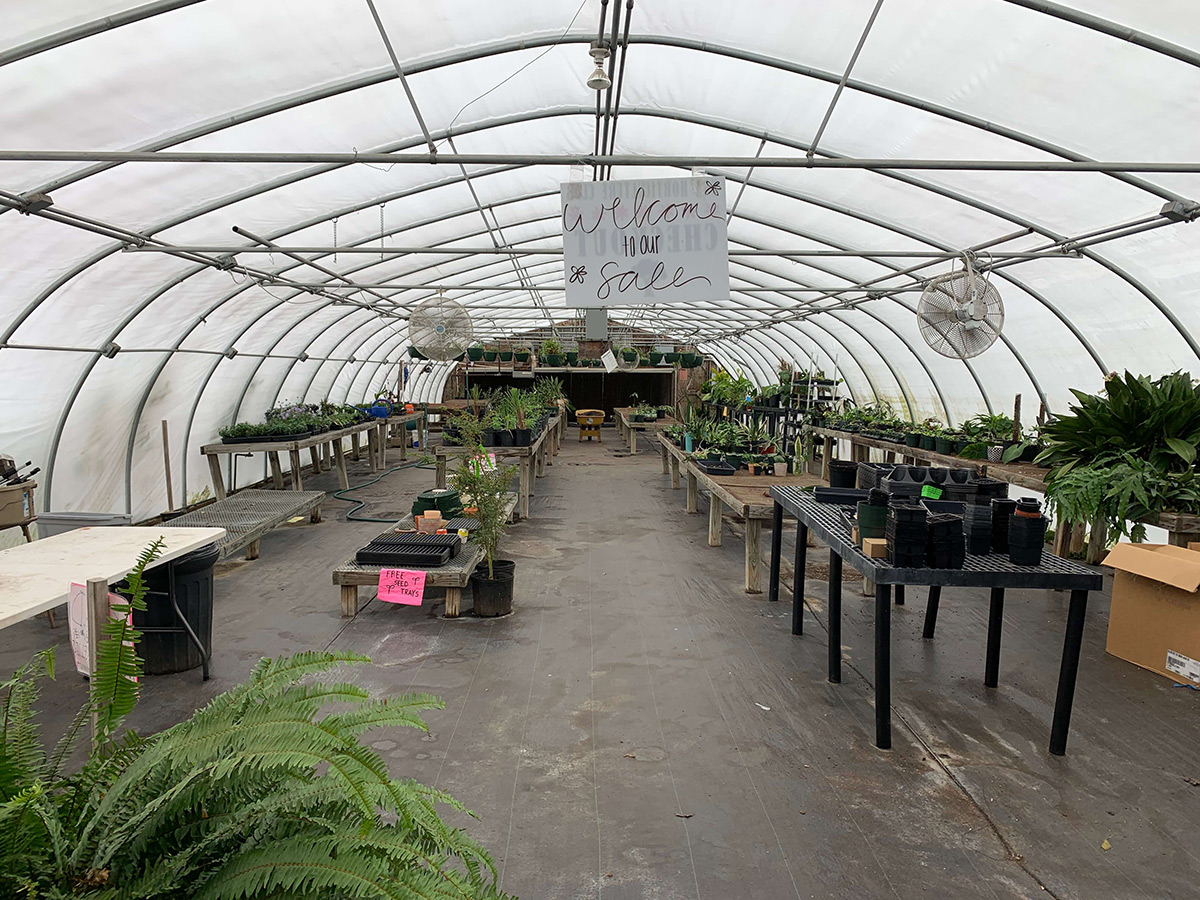Greenhouse 10A