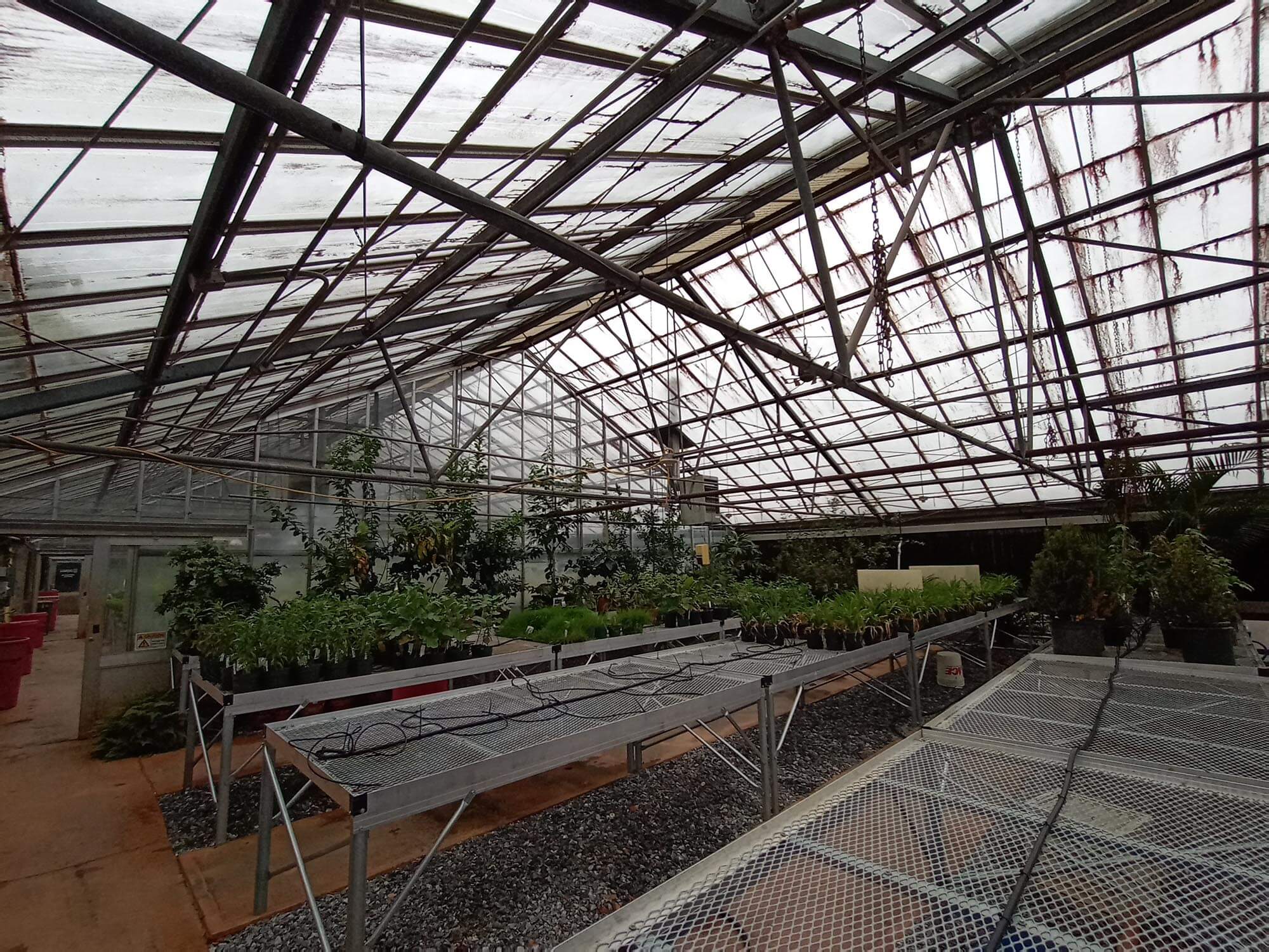 Greenhouse 1A