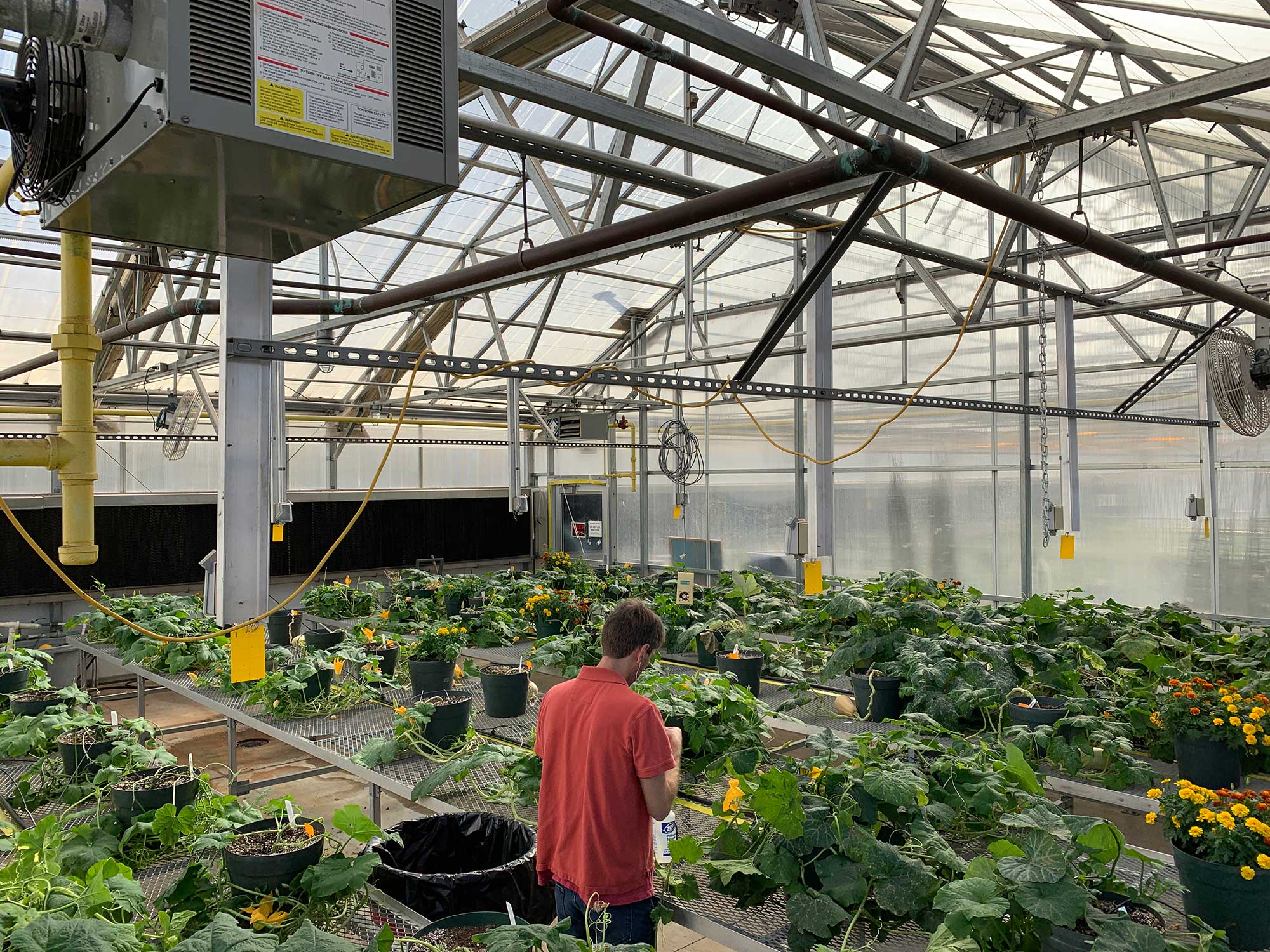 Greenhouse 3A