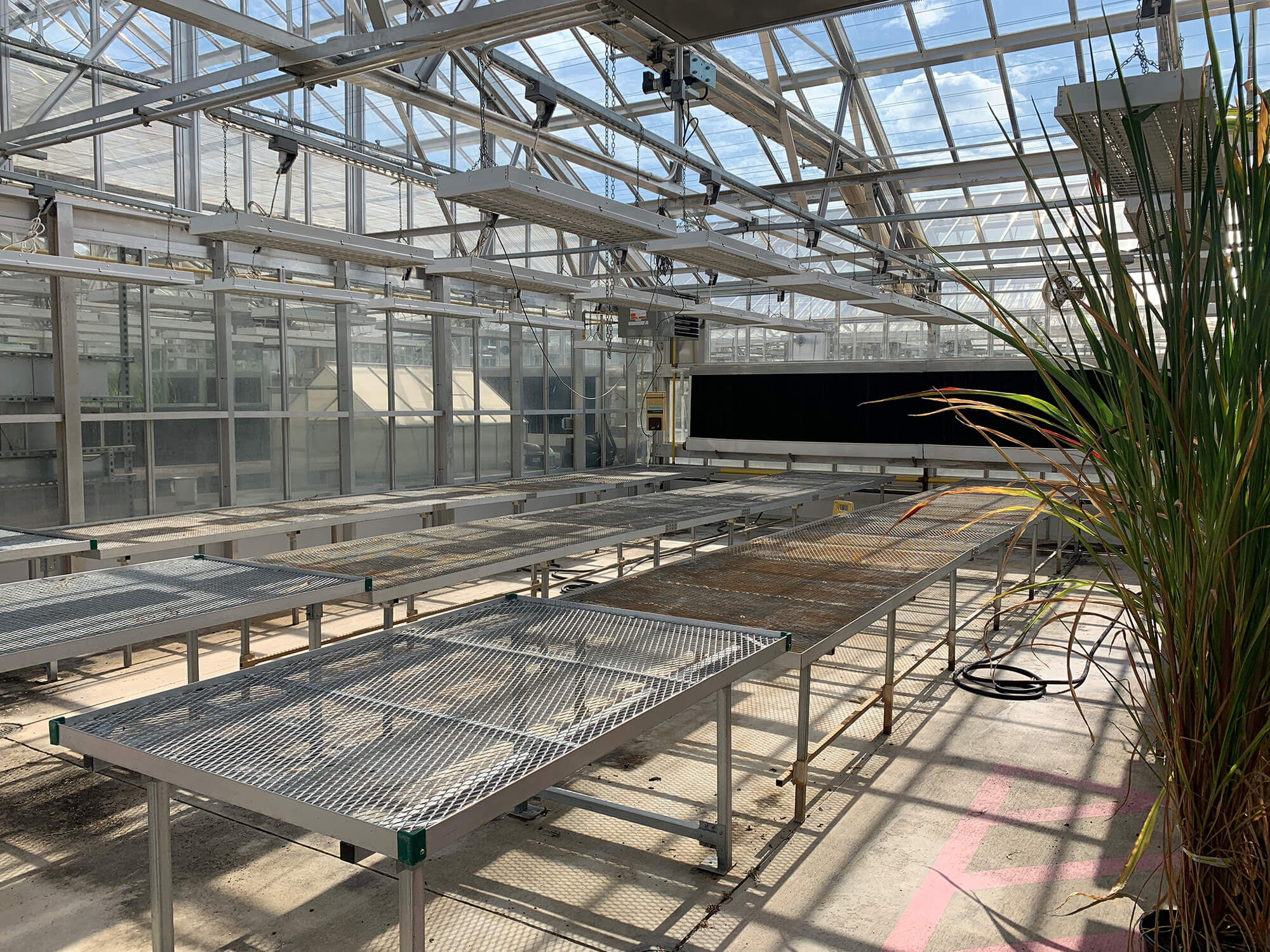 Greenhouse 4B