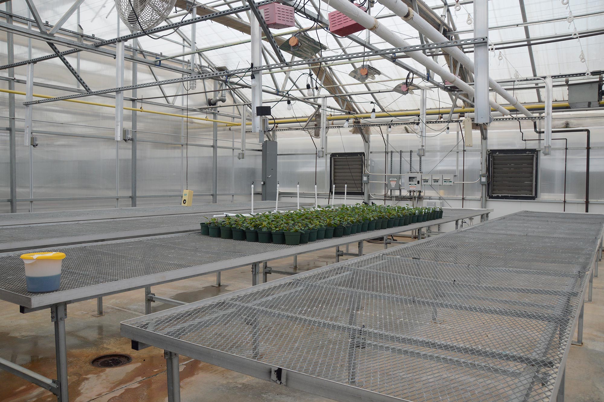 Greenhouse 1A
